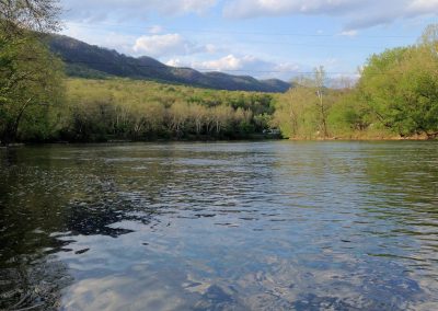 river-looking-downstream