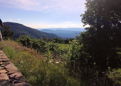 skyline-drive